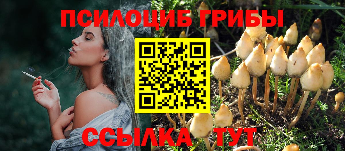 Псилоцибиновые грибы мухоморы Горно-Алтайск